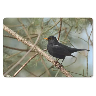 Produktbild von MuchoWow® Schreibtischunterlage Vogel - Amsel - Zweige - Tiere 60x40 cm - XXL Mauspad - Großes Mauspad