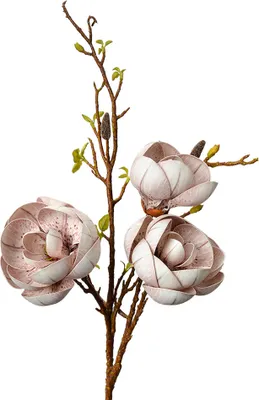 Image de Clayre & Eef Fleur artificielle 106 cm Beige Plastique