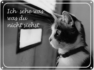 Produktbild von vianmo Blechschild 30x40 cm Katze ich sehe was du nicht siehst