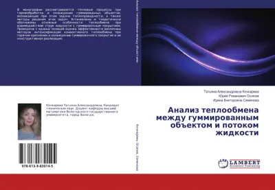Produktbild von Analiz teploobmena mezhdu gummirowannym ob#ektom i potokom zhidkosti