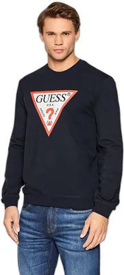 Obrázok produktu pre Guess Herren Mikina Audley