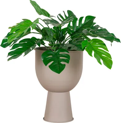 Image de House Collection Pot de fleurs Ø 19 cm Autre Beige