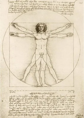 Immagine prodotto di Puzzle 1000 elementi. Uomo vitruviano. Leonardo Da Vinci, 1490