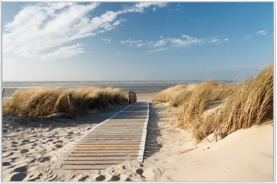 Produktbild von Wallario Wandbild Auf dem Holzweg zum Strand, Größe: 61 x 91,50 cm, Poster mit weißem Aluminiumrahmen
