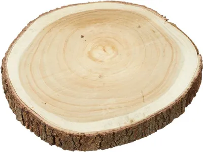 Produktbild von Holzscheibe Baumscheibe Dekobrett Holz Holzbrett Brett Tischdeko Tablett Ø 30 cm