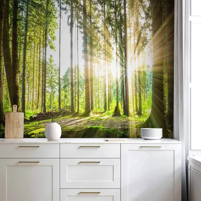 Produktbild von Vlies Fototapete - Forest Tales 150x105 cm Landschaften c-B-0098-a-b