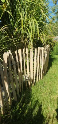 Produktbild von Staketenzaun Kastanie oder Haselnuss - Naturzaun für moderne Gartengestaltung Staketenzaun Haselnuss 80 x 500 cm 7-9 cm