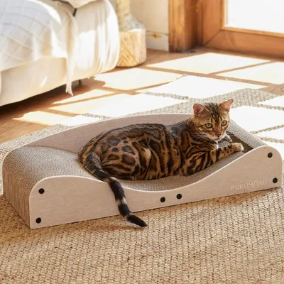 Productafbeelding van Kartonnen Krabbed voor Katten met Speelbal