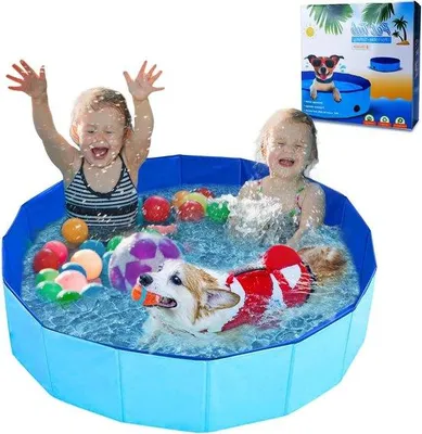 Produktbild von Famanu Hundebad Faltbares Schwimmbad für große Hunde - 120 x 30 cm - Hundewanne - Tragbar - Antirutsch - Blau