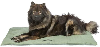 Produktbild von TRIXIE Liegematte Marley - 90 × 65 cm