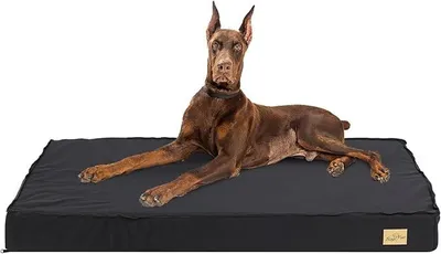 Imagen del producto de Silecomplaza: Colchón ortopédico para perros. Ideal para perros grandes: cama ortopédica, cojín para perros que protege las articulaciones. Colchón, lugar para dormir para perros grandes, medianos y pequeños, y jaula para perros de tamaño XXL (120x75x10 cm)