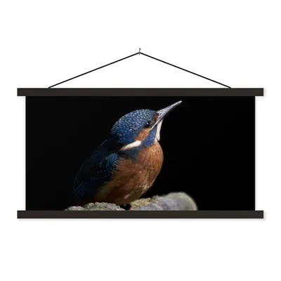 Produktbild von MuchoWow® Textilposter Eisvogel - Zweig - Federn - Schwarz 150x75 cm mit schwarzem Rahmen - Posterleiste