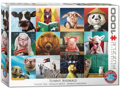 Immagine prodotto di Eurographics Puzzle Lustige Tiere von Lucia Heffernan, 1000 Teile, 68 x 48 cm, 6000-5524