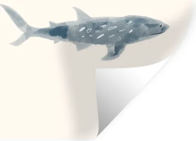 Produktbild von MuchoWow® - Repositionierbar - Wasser abweisend