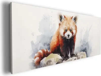 Produktbild von Wallario Premium Leinwandbild Neugieriger Rotpanda in Größe 60 x 150 cm
