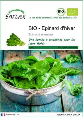 Image de SAFLAX  -- Epinard d'hiver - 250 graines - Spinacia