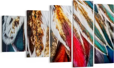 Produktbild von Bild auf Leinwand - Leinwandbild - Federn Federn Vogel - 100x60cm - Wand Bild - Wanddeko - Leinwanddruck - Bilder - Kunstdruck - Wanddekoration - Leinwand bilder - Wandkunst - EG100x60-3743