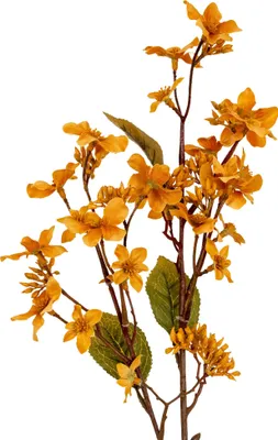 Produktbild von Hill Interiors - Holzölbaum Kunstblume Spray HI5434 (Einheitsgröße) (Gelb)