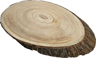 Baumscheibe Brett oval Holz Holzbrett Dekobrett Tablett Holzscheibe Ø 20 - 23 cm