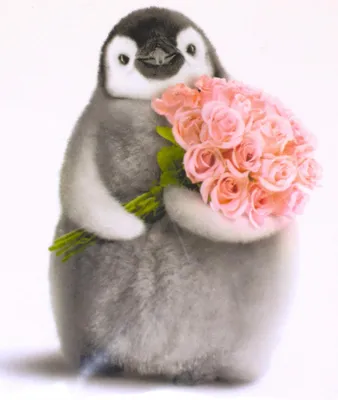 Produktbild von Mini Grußkarten Pinguin mit Rosen, mit Umschlag