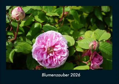 Produktbild von Blumenzauber 2026 Fotokalender - Querformat DIN A4, Monatskalender mit Bild-Motiven aus Fauna und Flora, Natur, Blumen und Pflanzen