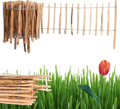A wooden fence and a tulip in grass.