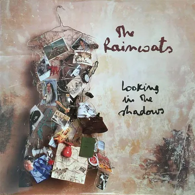 Obrázek produktu pro The Raincoats: Looking In The Shadows