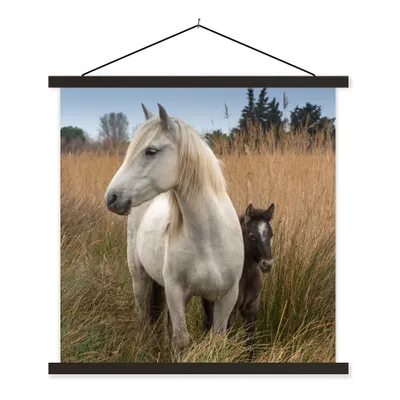 Produktbild von MuchoWow® Textilposter Pferde - Fohlen - Weiß 90x90 cm mit schwarzem Rahmen - Magnetisches