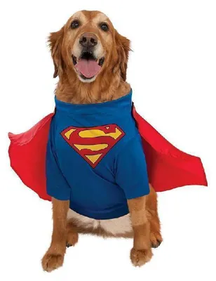 Productafbeelding van DC Comics Superman shirt en cape, huisdierenkostuum, zoals afgebeeld, maat L (verpakking C)