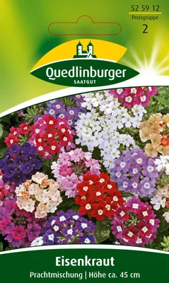 Produktbild von Eisenkraut Prachtmischung | Blumensamenmischung von Quedlinburger