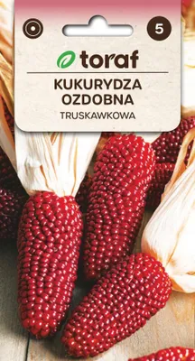 Obrázok produktu pre Okrasná kukurica STRAWBERRY Kvetinové semená - 546 Toraf