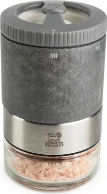 A close-up studio shot of a salt grinder.