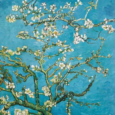Obrázok produktu pre Vincent Van Gogh Art Print Obraz - Rozkvitnuté vetvy mandľovníka, 1890 (70 x 70 cm)