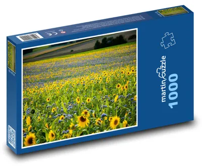 Zdjęcie produktu dla Puzzle 1000 Kwitnąca łąka ze słonecznikami - martinpuzzle