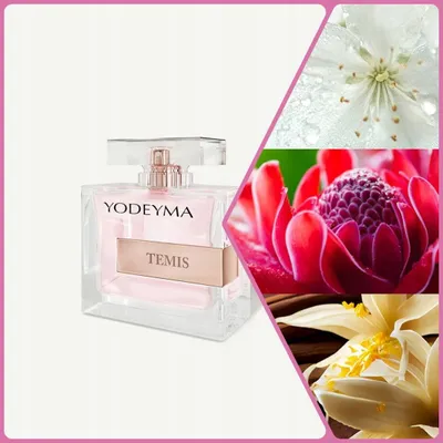 Produktbild von Yodeyma Temis Eau de Parfum für Damen 100 ml