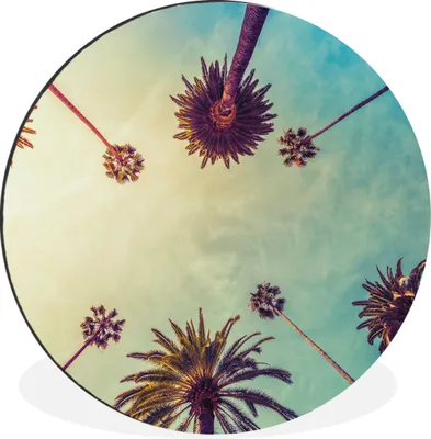 Produktbild von MuchoWow® Aluminium Wandkreis Palme - Himmel - Bäume - Sommer - Tropisch Ø 60 cm Wanddeko Modern Wohnzimmer - Wand Kreis - Wandbild - Schlafzimmer - Aluminium Bild - Kinderzimmer - Wohnzimmer Dekoration - Wandschmuck
