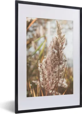 Produktbild von MuchoWow® Gerahmtes Poster Schilf - Sonne - Pflanze 40x60 cm - Poster mit Schwarzem Bilderrahmen Wandposter Rahmen Foto Bilder - Poster in Rahmen