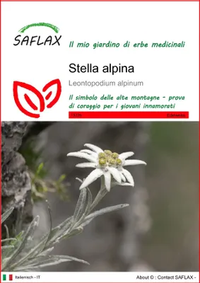 Immagine prodotto di SAFLAX  - Stella alpina - 500 semi - Leontopodium
