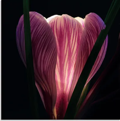 Produktbild von ARTland Glasbild Beleuchtet Größe: 30x30 cm