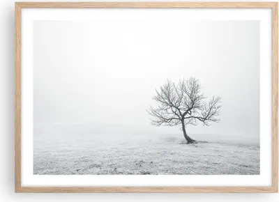 Produktbild von Gerahmtes Poster - Rahmen in heller Eiche - Baum Feld Natur - 70x50 cm - Wand Bild - Wanddeko - Wandbilder - Kunstposter - Wandposter - Bilderrahmen - Bilder - Kunstdruck - Wandbild - P2NAA70x50-3683