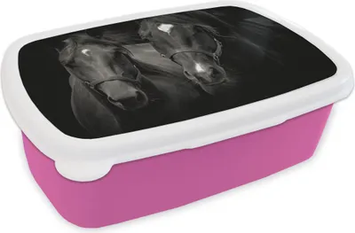 Produktbild von KitchenYeah® Lunchbox Brotzeit Brotdose 17x11 cm Pferde - Tiere - Schwarz Kinder Brotzeitdose - Lunchpaket - Brotkasten  - Sandwich Box