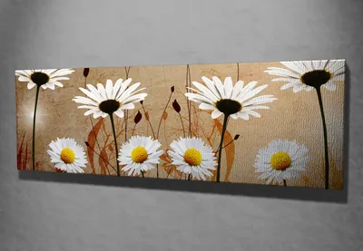 Zdjęcie produktu dla Wallity, PC042- SYM1246, Kolorowy, obraz na płótnie, 30 x 80 cm, 100% płótno
