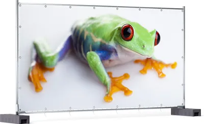 Produktbild von Wallario XXL Outdoor-Poster für Garten oder Balkon, Motiv Lustiger Frosch in grün und orange, in ca. 340 x 173 cm