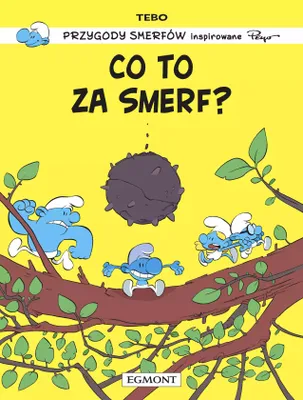 Obrázok produktu pre Smerfy. Co to za Smerf?