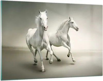 Produktbild von Bilder auf glas - Tiere araber pferd bauernhof - 120x80cm - Glasbilder - Wandbilder - Kunstdruck - zum Aufhängen bereit - Wanddekoration aus Glas - Glas Bilder - Wandbild auf Glas - GAA120x80-2387