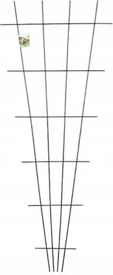 Produktbild von Fächerstütze für Kletterpflanzen 150x60cm Stabile Stütze für Ihren Garten