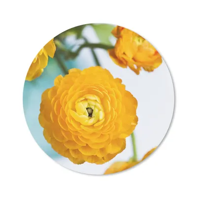 Produktbild von MuchoWow® Mauspad Mousepad Blumen - Draußen - Orange 40x40 cm - Mousepads - Maus Mat - Pad - Mausunterlage - Schreibtisch Accessoires