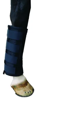 Produktbild von QHP Kühlgamasche Schwarz, QHP17_Gr.:Warmblut