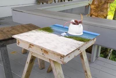 Produktbild von Wallario selbstklebende Möbelfolie/ Tischdecke für Innen und Außen, Größe: 100 x 100 cm - Möwe auf der Düne