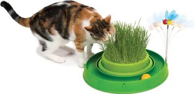 Zdjęcie produktu dla Tor Catit Play 'n Scratch | Miseczka dla kota z trawą | 4 x 36 x 39,5 cm, zielony